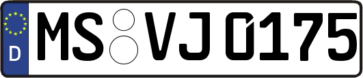 MS-VJ0175