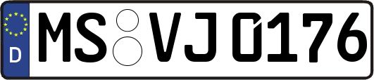 MS-VJ0176