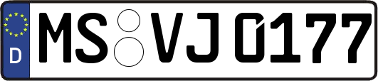MS-VJ0177