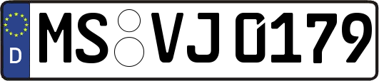 MS-VJ0179