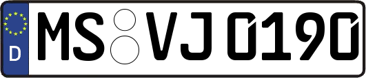 MS-VJ0190