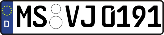 MS-VJ0191