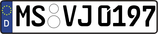 MS-VJ0197