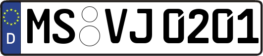 MS-VJ0201