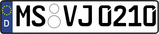 MS-VJ0210