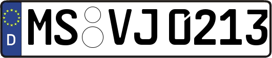 MS-VJ0213