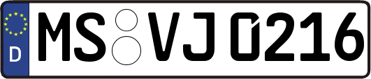 MS-VJ0216