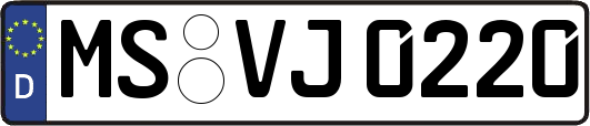 MS-VJ0220