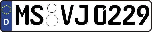 MS-VJ0229