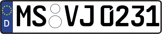 MS-VJ0231