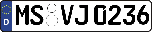 MS-VJ0236