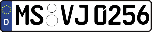 MS-VJ0256
