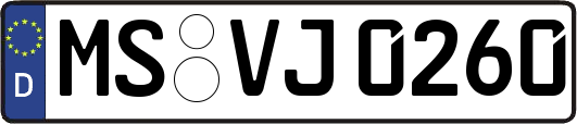 MS-VJ0260