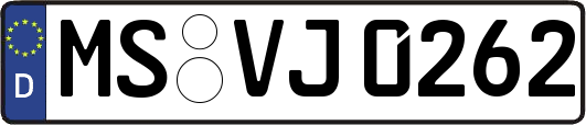 MS-VJ0262