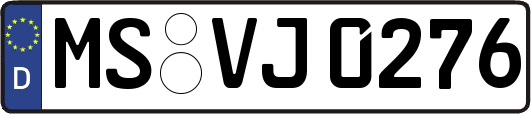MS-VJ0276