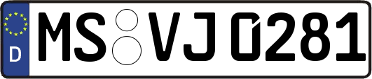 MS-VJ0281
