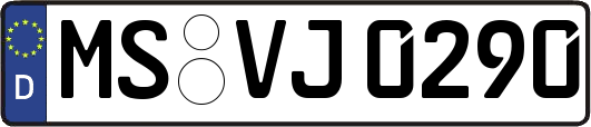 MS-VJ0290