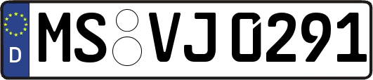 MS-VJ0291