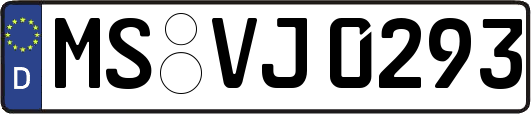 MS-VJ0293