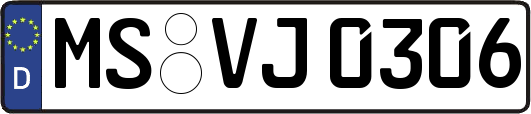 MS-VJ0306