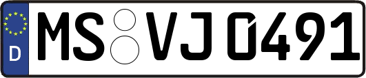 MS-VJ0491