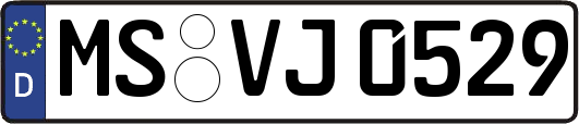 MS-VJ0529