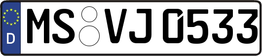 MS-VJ0533