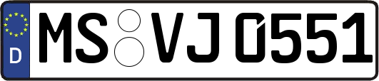 MS-VJ0551