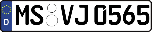 MS-VJ0565