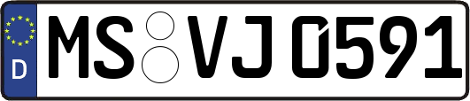 MS-VJ0591