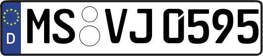 MS-VJ0595