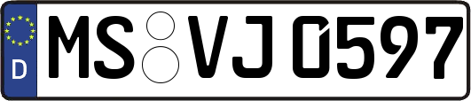 MS-VJ0597
