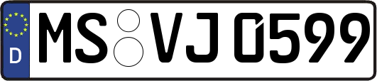 MS-VJ0599
