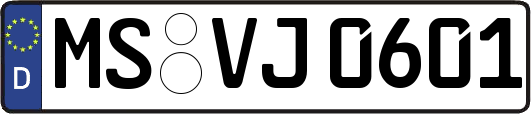 MS-VJ0601