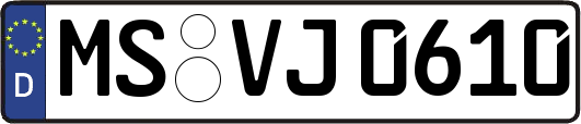 MS-VJ0610