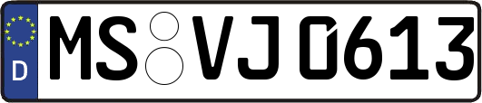 MS-VJ0613