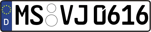 MS-VJ0616