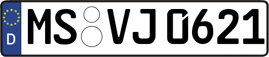 MS-VJ0621