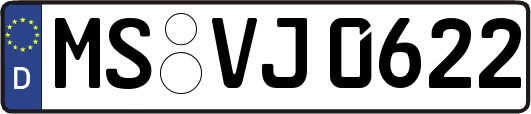MS-VJ0622
