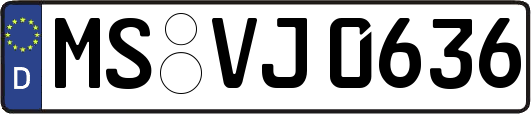 MS-VJ0636