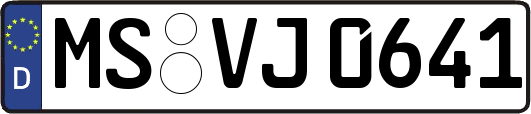 MS-VJ0641