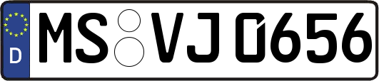 MS-VJ0656