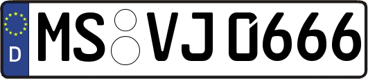 MS-VJ0666