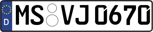 MS-VJ0670