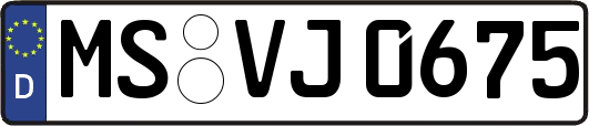 MS-VJ0675