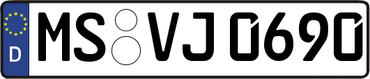 MS-VJ0690