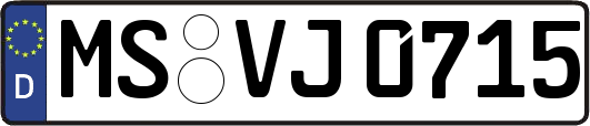 MS-VJ0715