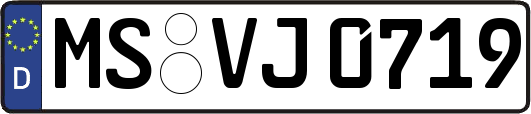 MS-VJ0719