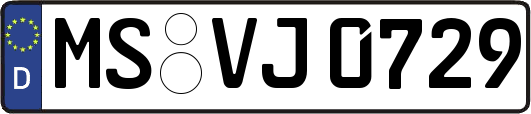 MS-VJ0729