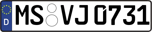 MS-VJ0731